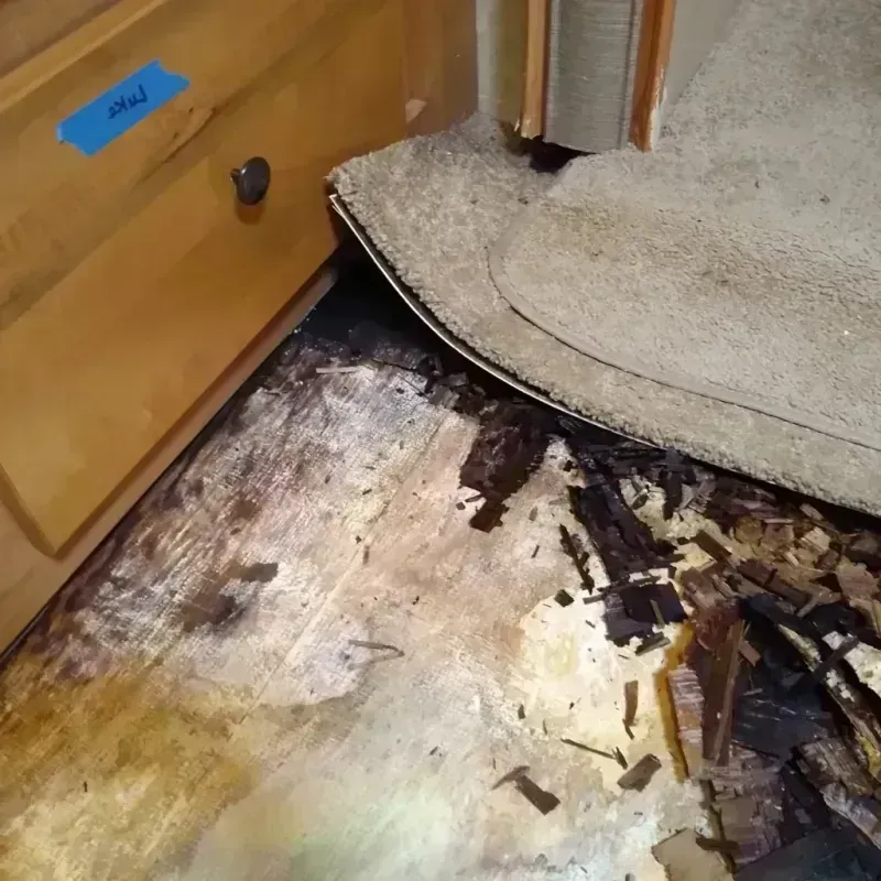 Wood Floor Water Damage in Creve Coeur, MO